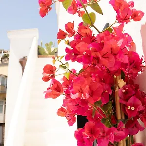 Guest house Civico 50, Naples